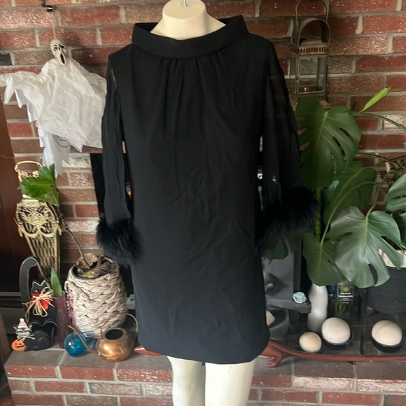 Vintage 60s Shift dress with Chiffon sleeves and Maribou trim - Picture 1 of 5